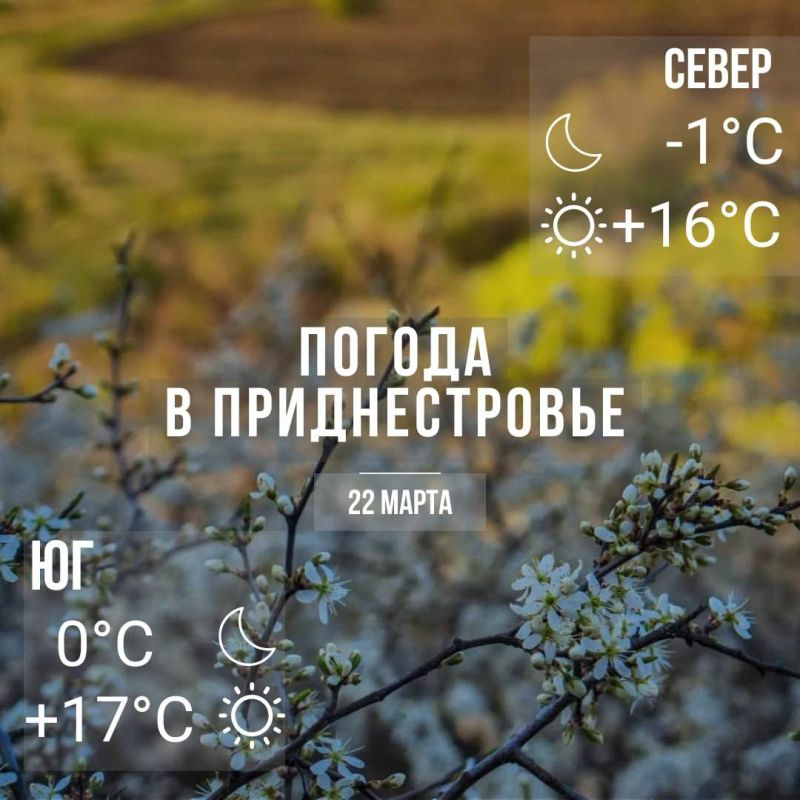 ���� � �� +17��. ��� �������