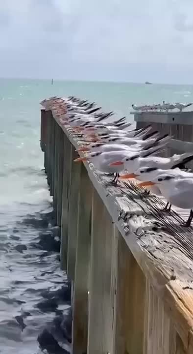 ��, ��� ����� ������ �� �����