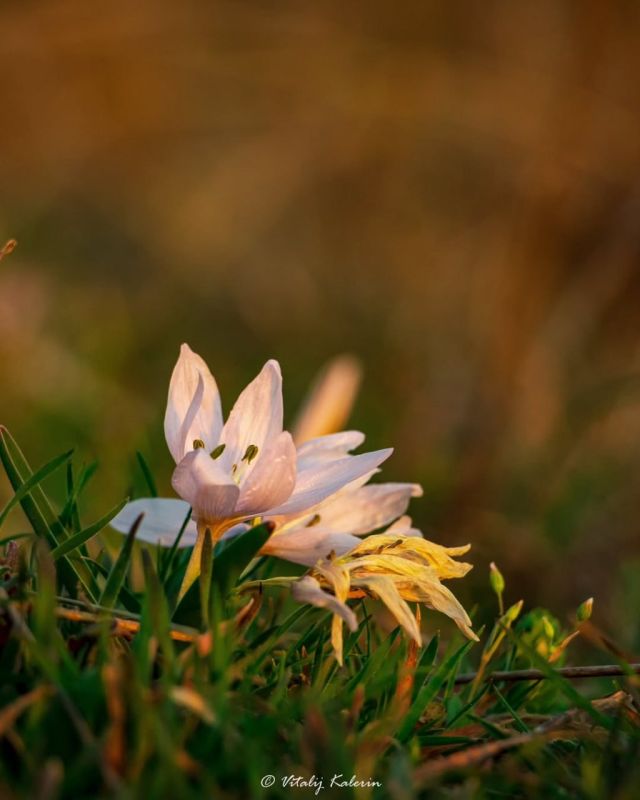 ������ ������� � ��������� ������� ��������