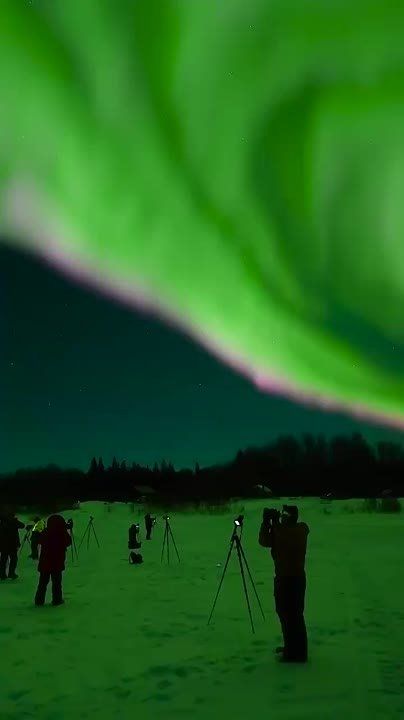 ������ �������� ������ �� ������