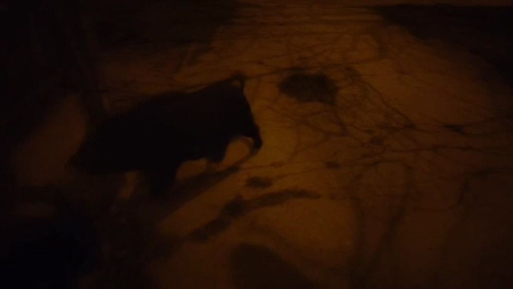 ������� �� ������, ������?�