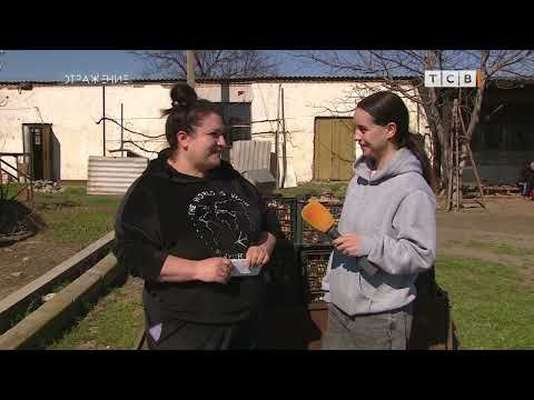 ���� �� �� ��� ��������� ������ ��������� � �����, �� ��� ����� ����� ������� ���������� � �������