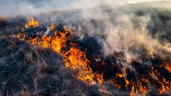 �� ���������� ������� ������������� � ��������� ���-�� ������ ������������ �������� � ���������� ����� �����