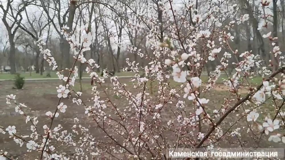 А вот так выглядит новый фонтан в городском парке Каменки