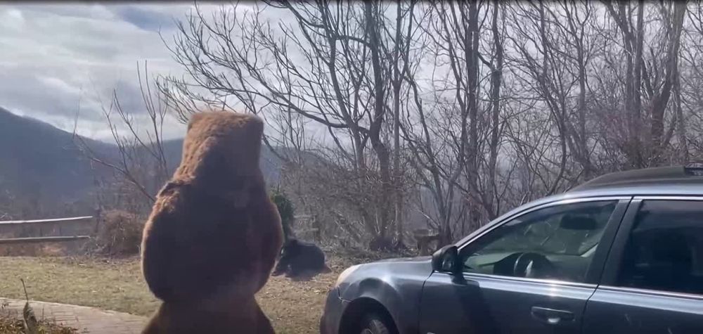 ���������� � �������� �������� ������� ������� �� ������ �������, ������������ ��������