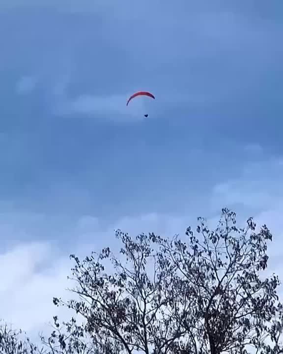 . . .   ( )   