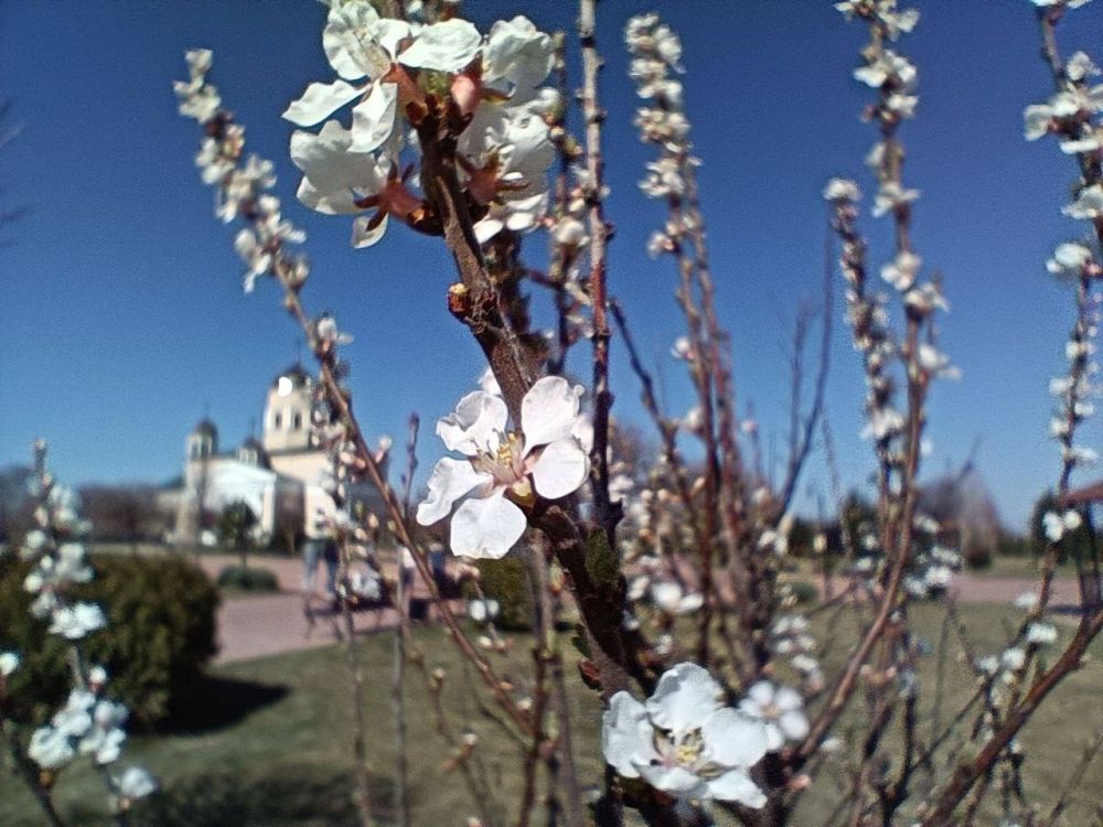 � ������� ����� �� ������ ����� ������