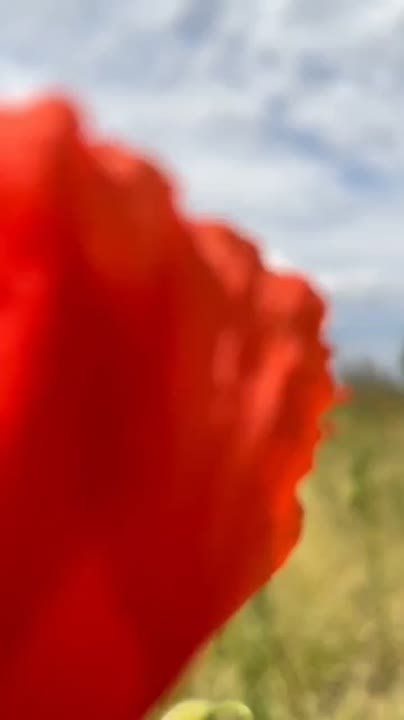 ������ �� �������