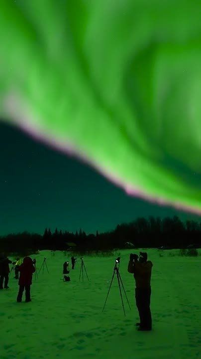 �� ������ ����� ��������� ������� ��������� ���� ��������� �������� ������, ������� �������� ������������� ����������