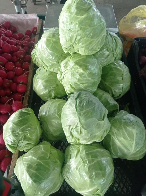 ���������� ���� �� ������ �����: