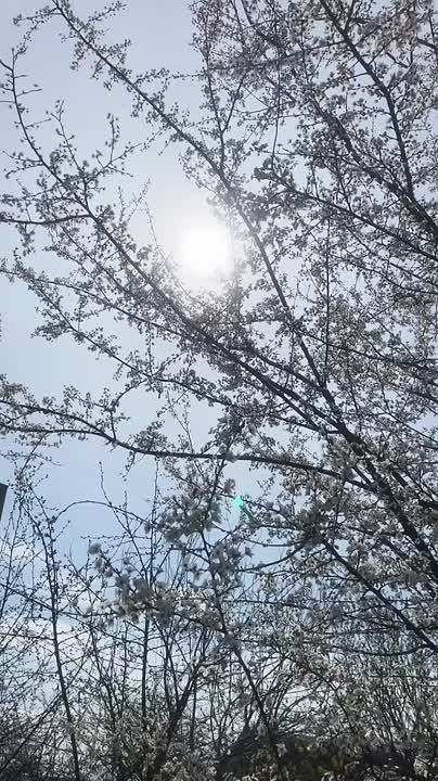 ����� �������� � ���� �����