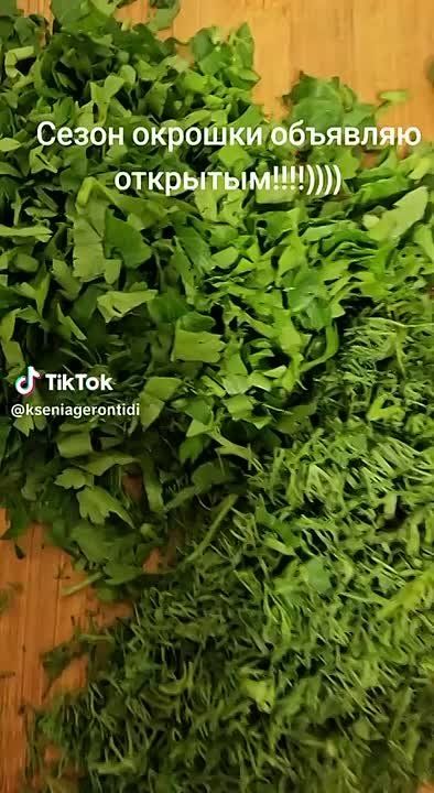 � �������� ����� ������ ����� �������