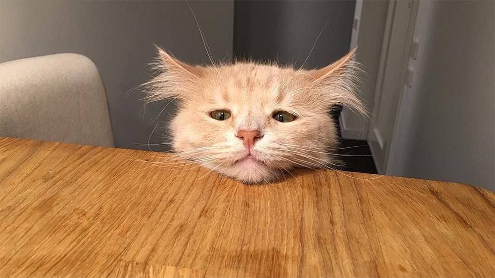 ������� ���������� ������������� ���� ����������� � ����� ���������, ��� ���� ����� ����������� ����� ����� �� ������� ���������� ��������� � �����