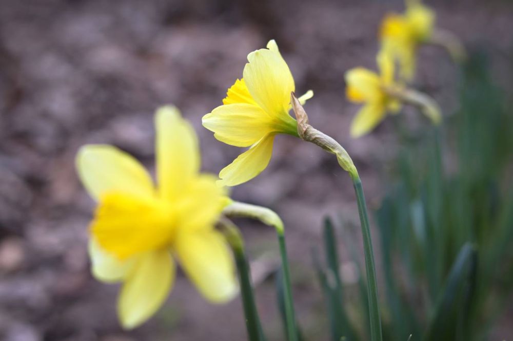 ���������� �� ���������� ���������� ����