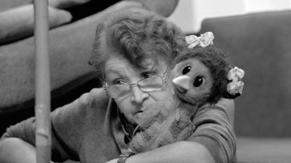 ������ ������ ��������, ���������� ����� ������� �� ���������� ����, ������!�