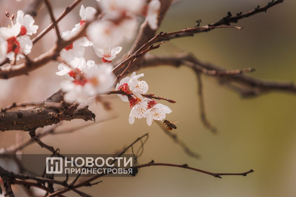 � ��������� �������� ������ � �������� �������� ��������