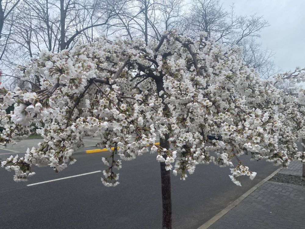 ��� �������� ��������� ����� �� ����� �� � ��, 28 ����� ��������� �������� � ������������ ������, ����� ������� ��������� �����