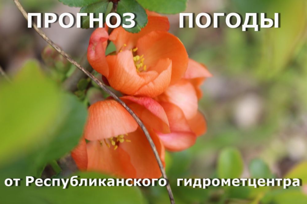 ����� ������ �� ���������������