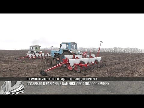 Посевная –2025. На полях села Хрустовая кипит работа