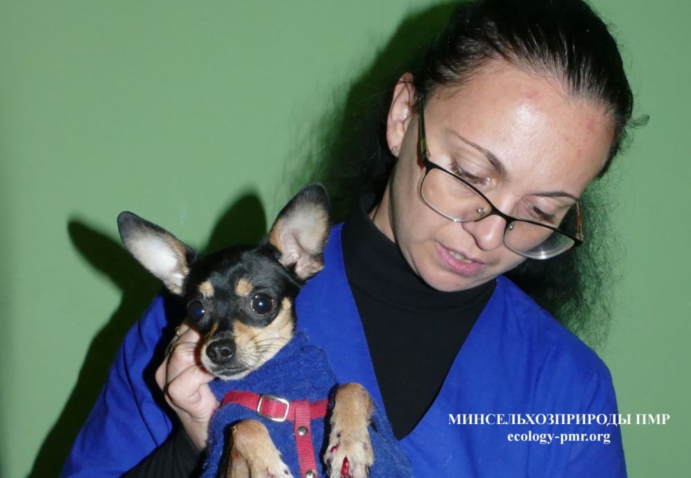 ���������� ������ ������������