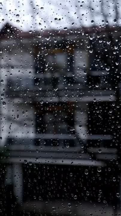 ������ �� �������