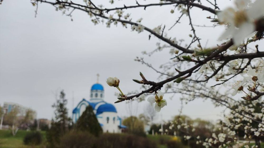 ������� �������� ������ � �����