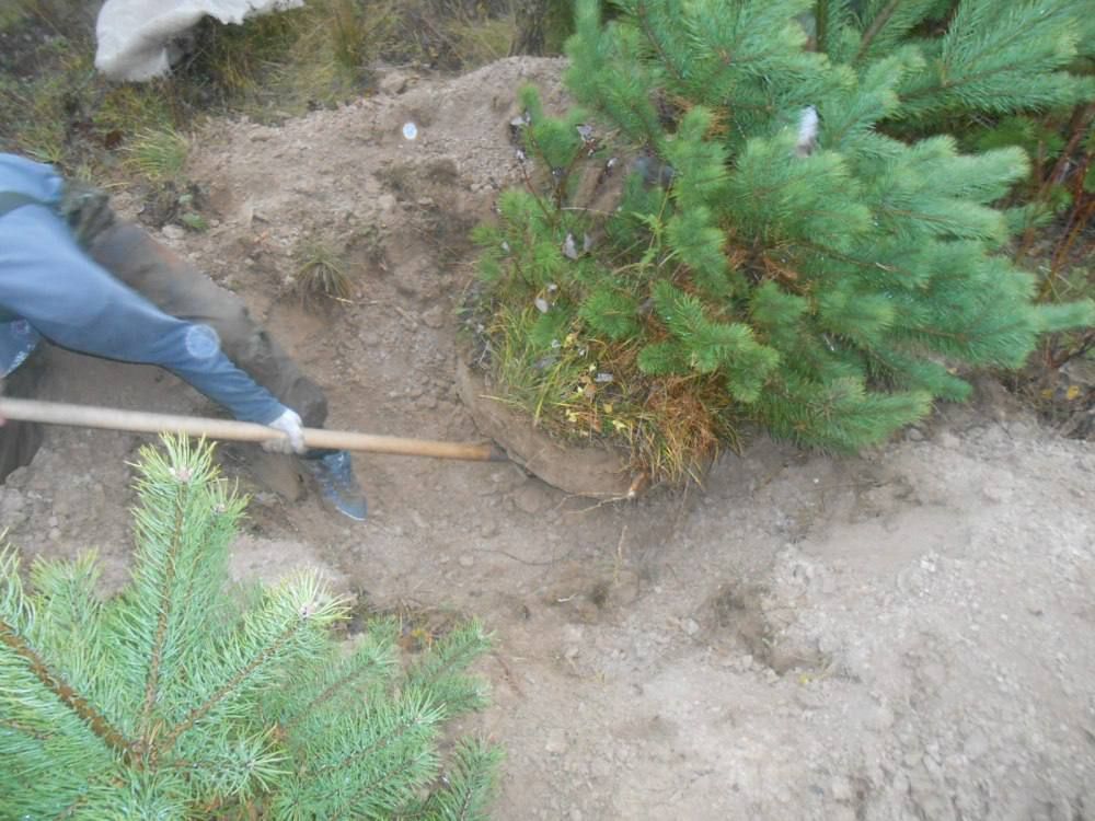 �������� ��������� ������ � ����