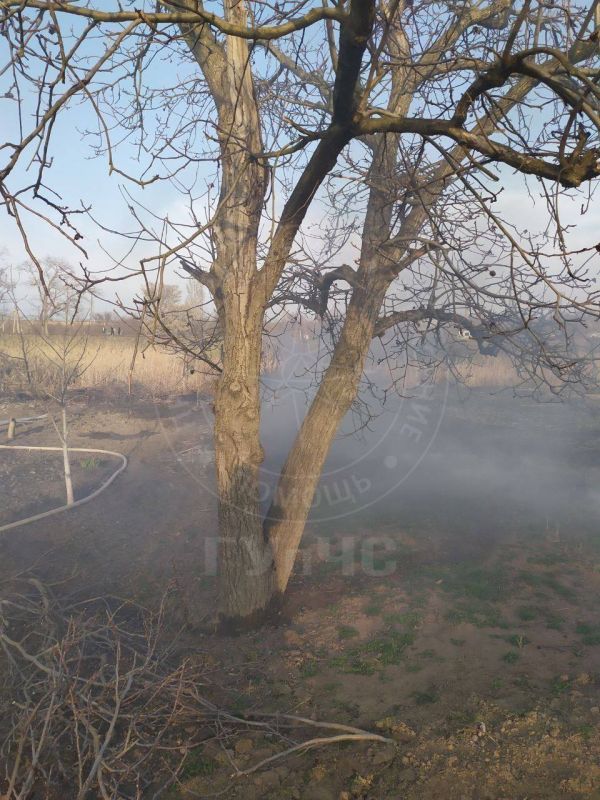 ����� ����� �� ������� ������