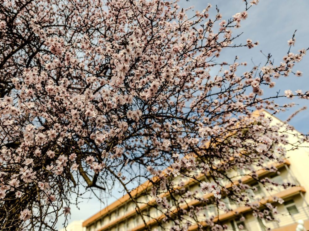 ��������� ������. ���� ������� �������