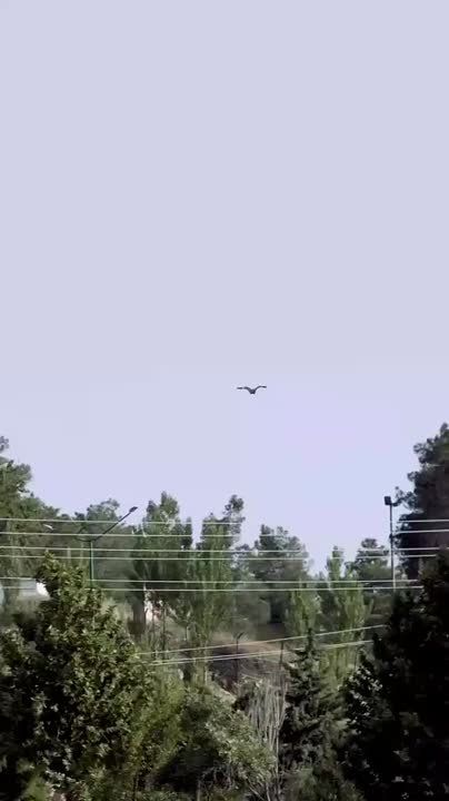 ��������� ������� ����� ���� ��� ���� �� ������ ����������� �����