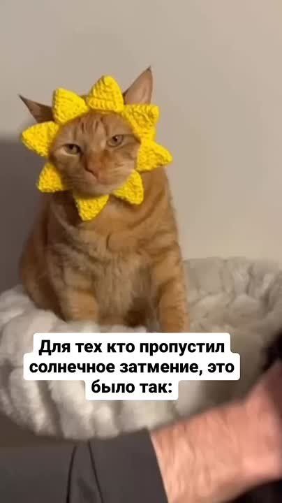 �� ��������������, ���� �� ������� ����������� ��������� ��������