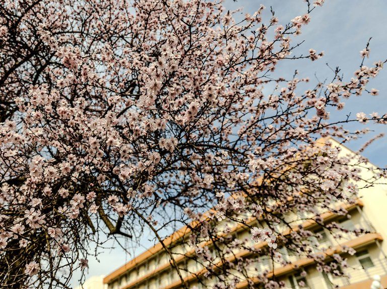 �����, ��� �������, �������� ��� ������������ �������