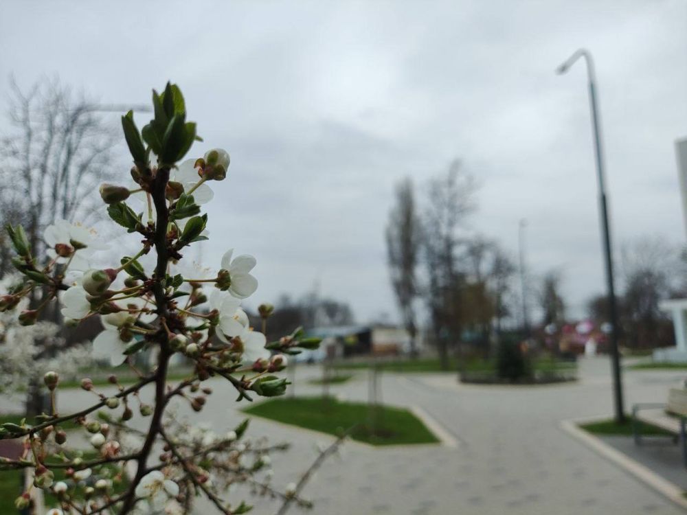 ������� ������ �� ������ 29-31 �����