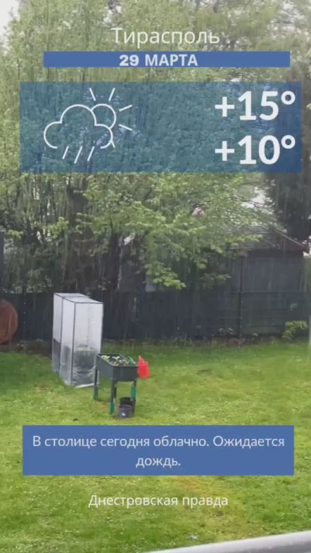 ������ �� �������