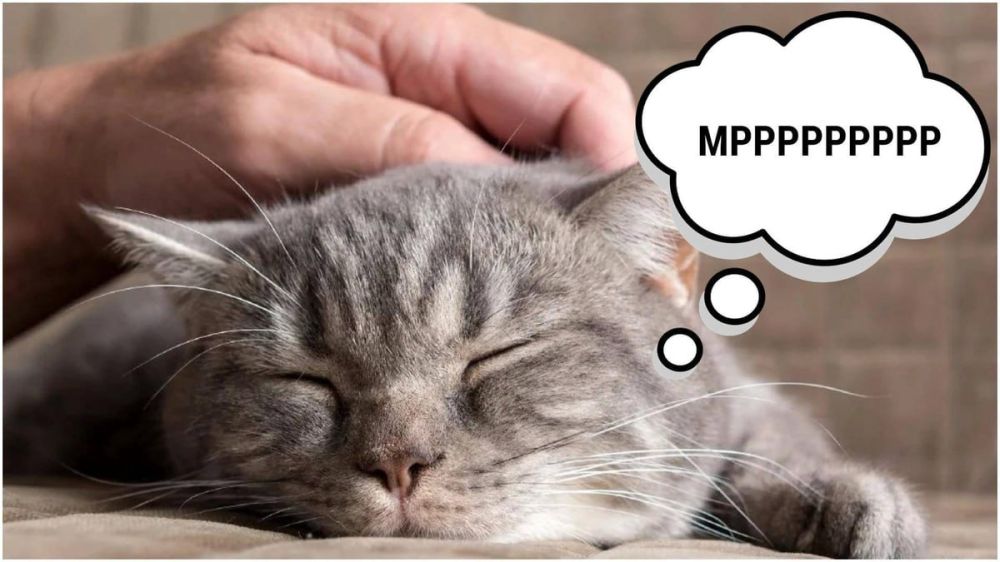 ������� ���������� ����� ���� �������� �����