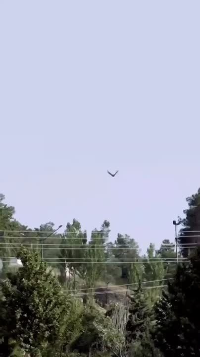 � ����� ����������� ����� ���� �� ���� ��������� �������: