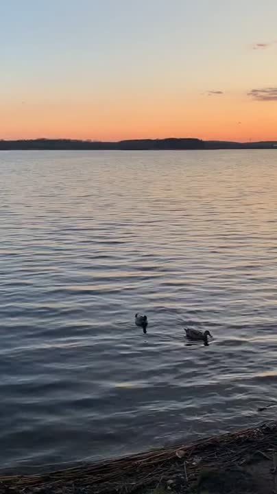 ������ �� �������