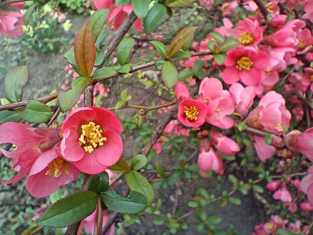 ������ �����: ��������� ����� � �����, �� ���� ������ ������� �����, ������������� �� ������ ������