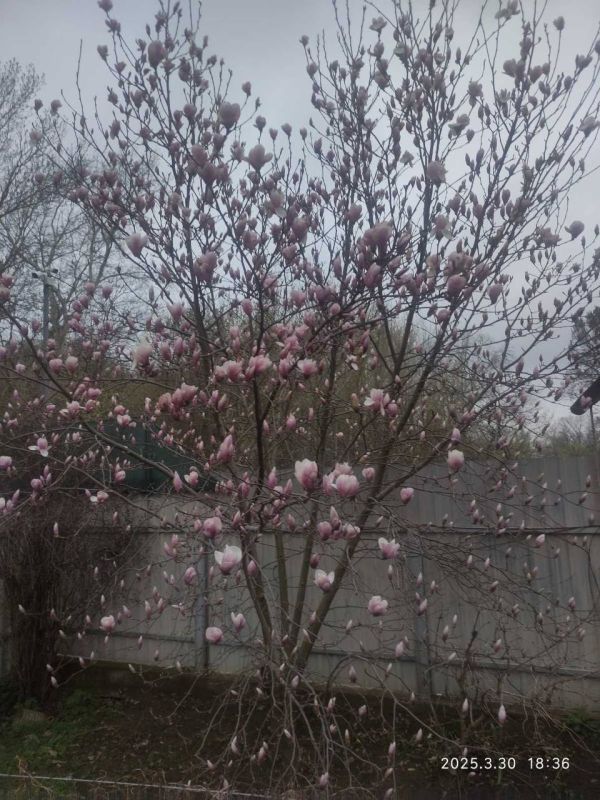 � ������������� ����� ��������