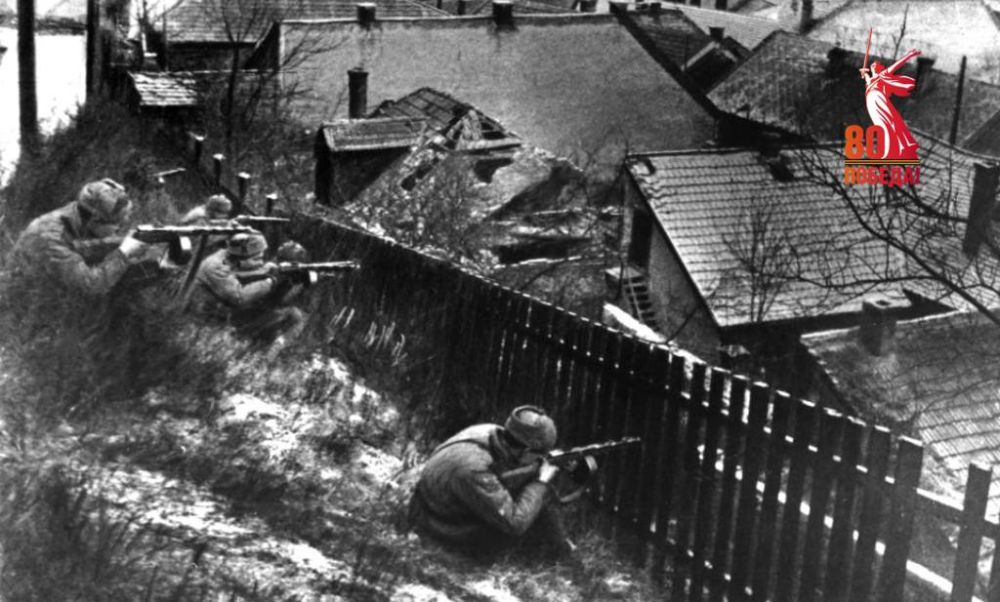 ������ ���������: � ���� ���� 80 ��� �����