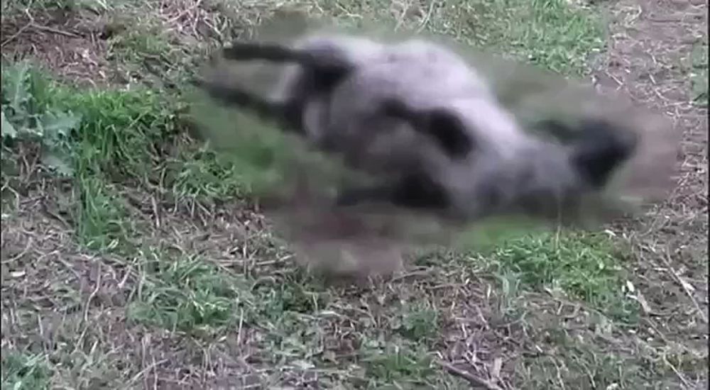 � ����� ����� ����� �� ������ ���������� ������� �� ������ � �����