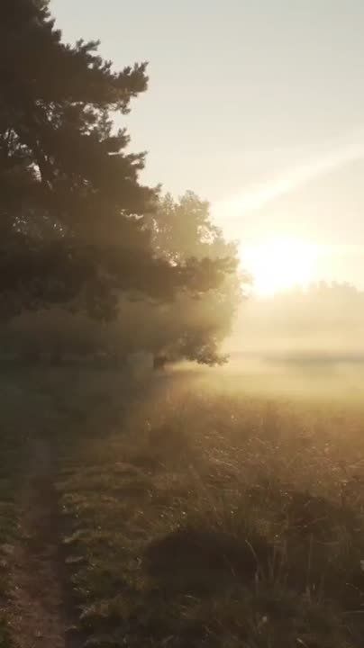 ������ �� �������