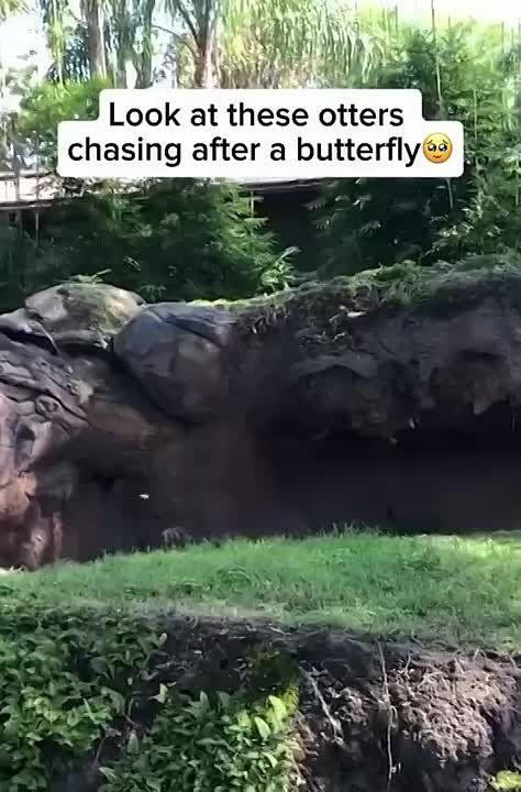 ������������� ��������� �������������� ���� � ���������, ����������� �� ���������� ��������� 10-30 ���