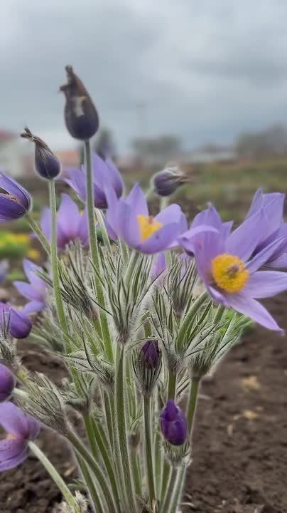 �������� ���� � ����������� �������� �������� � ��������������� ������������ ����