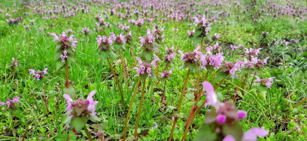 ���������� ������