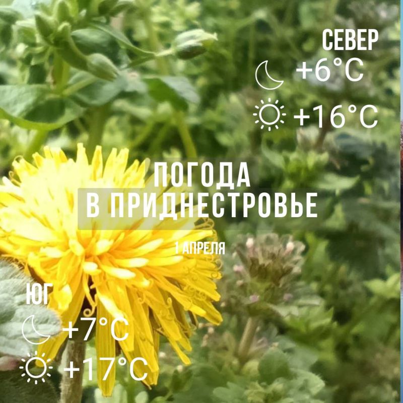 ���� � �� +17��. ��� �������