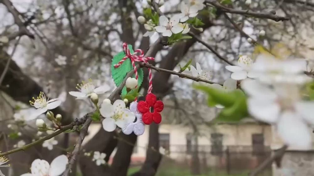 ����� �� ��������, �� �������� ���� ������