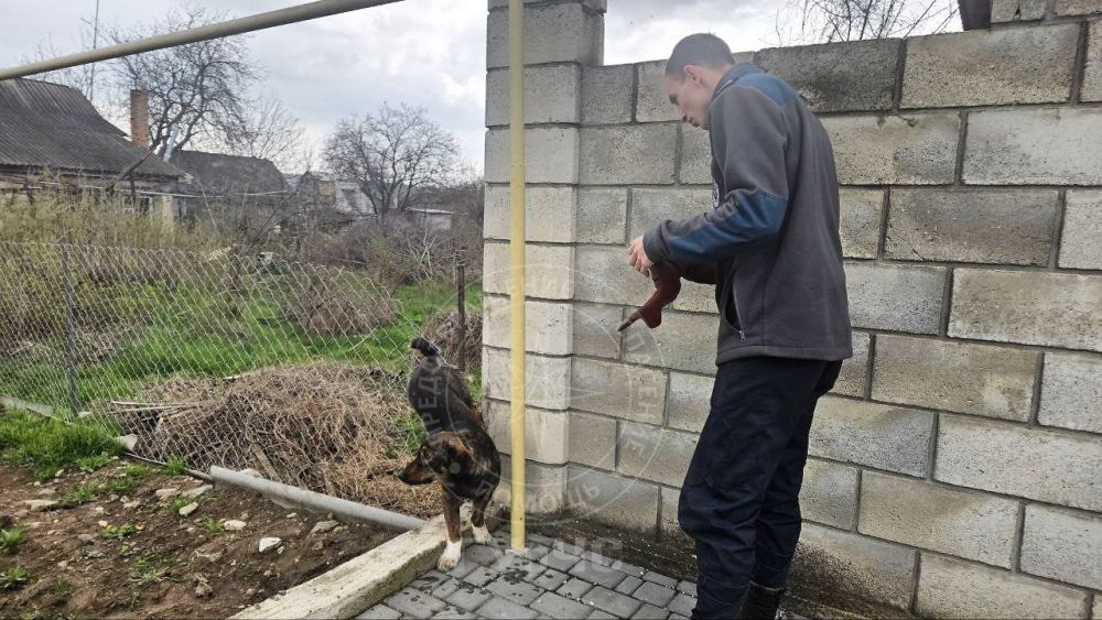 ������������ �������� ��� ��������� ������� � ������� ������ �������