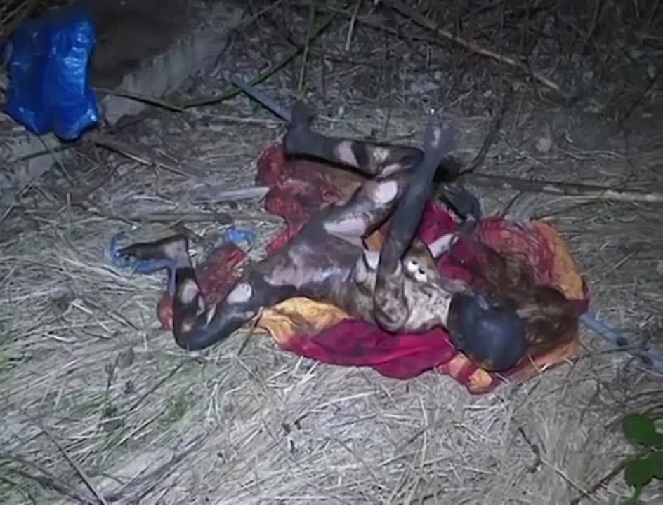 � �������� ����������� ���� ����� ������������ ���� � ��������� ����, ���� �� ������, ��� ��� ������ �������� ����-�����