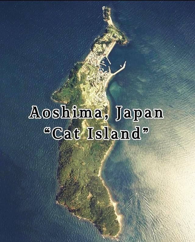               ,       ,  